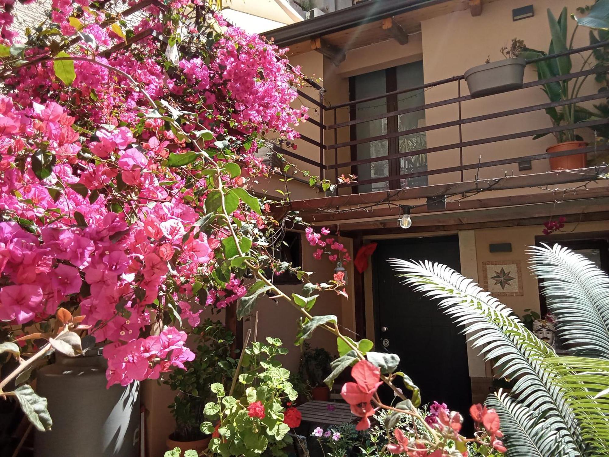 Mizzicahome Solemare